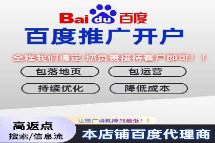 百度竞价广告运营的技巧与误区：成功案例解析