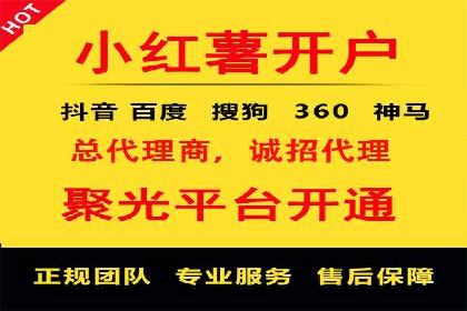 SEM竞价代运营：案例展示数据分析与应用
